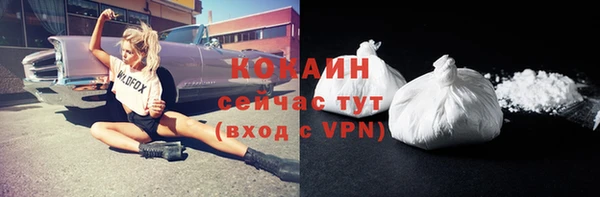 ПСИЛОЦИБИНОВЫЕ ГРИБЫ Абаза