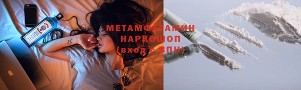 ПСИЛОЦИБИНОВЫЕ ГРИБЫ Абаза