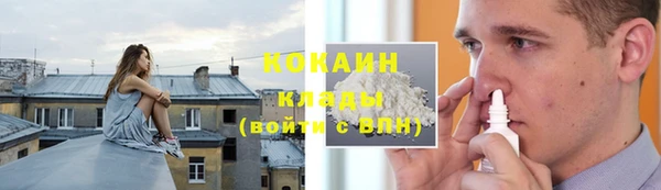 ПСИЛОЦИБИНОВЫЕ ГРИБЫ Абаза