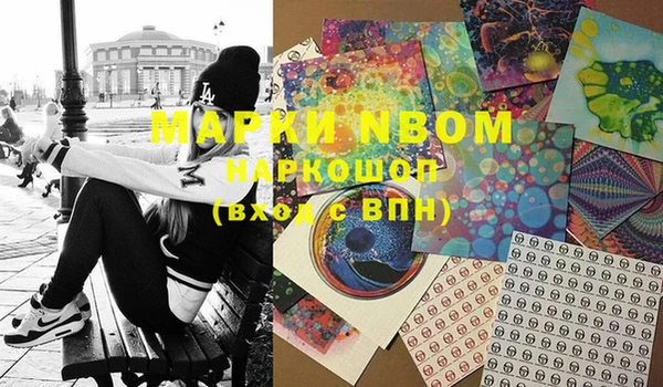 ПСИЛОЦИБИНОВЫЕ ГРИБЫ Абаза