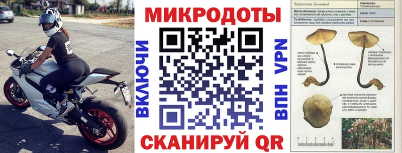 Галлюциногенные грибы Psilocybine cubensis  мега как войти  Стрежевой 